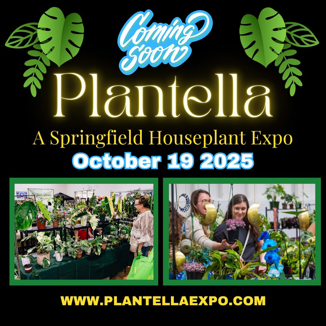 Plantella Expo infographic